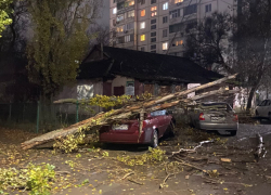 Бушующий ветер повалил часть дерева на автомобиль в Волгодонске