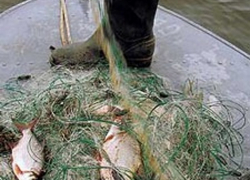 В акватории Цимлянского водохранилища поймали двух браконьеров