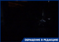 «Днем страшно выходить, а ночью невозможно открыть окна»: волгодонцев терроризирует свора из 15 взрослых собак 