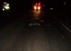 Водитель насмерть сбил двух работников зерноградского техникума на автодороге Ростов-Волгодонск