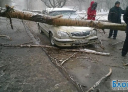 Волгодонцы начинают подсчитывать ущерб от мартовской непогоды