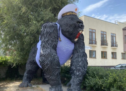 Ко дню Военно-морского флота приодели легендарную гориллу в Волгодонске