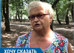 Наш любимый сквер «Дубравушка» гибнет из-за ужасных ворон, - волгодонцы о сотнях ворон