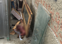 В Волгодонске содрали с лисы шкуру и бросили ее окровавленную тушку возле мусорного бака