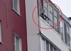 «Мужчина стрелял по детям в Волгодонске из окна дома рядом со школой»: очевидцы