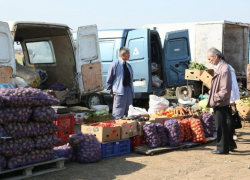 За три дня на сельскохозяйственной ярмарке в Волгодонске было продано 65 тонн продукции 