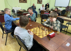 «Белая ладья» покоряет Волгодонск: юные интеллектуалы сразились за шахматную корону 
