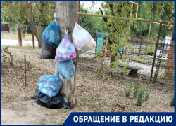 «От Кооперативной до Северной мешки мусора стоят у дороги»: волгодонцы задаются вопросом, почему не вывозят