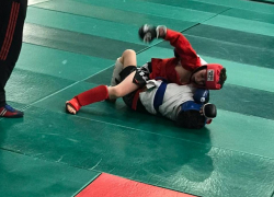 Около 100 спортсменов приняли участие в открытом турнире Волгодонска по боевому самбо 