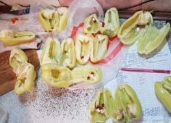 Волгодонец попытался передать в колонию «запрещенку» в болгарском перце