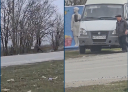 Загадивший лесополосу в Цимлянске водитель «Газели» сделал явку с повинной и своими руками убрал весь мусор
