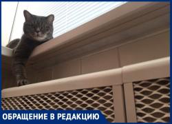 «Люди мерзнут в квартирах»: волгодонцы просят включить отопление
