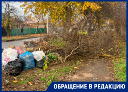 «Этот «бомжатник» когда-нибудь закончится?»: захламленный ветками тротуар на улице Пионерской вызвал недовольство у горожан