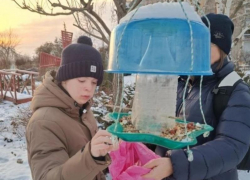 Воспитанники детского Центра «Радуга» спасают птиц Волгодонска от голодной зимы