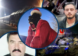 Обезьяна в костюме Деда Мороза, ДТП с поездом и обвинения волгодонца в смерти двух подростков: главные новости Волгодонска за неделю