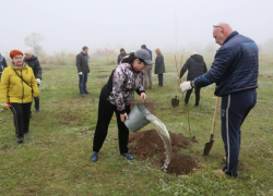 Скверу - быть: в Волгодонске благоустроят территорию на берегу Сухо-Соленовского залива