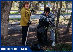 От уборки улиц до посадки деревьев: как Волгодонск встречает весну