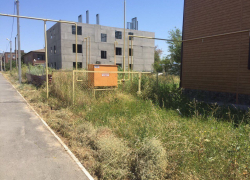 Сиротам выдали жилье в деревянном доме, окруженном кушерями, - жительница станицы Романовской