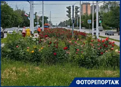 Оглянуться не успели: как Волгодонск прожил сумасшедшие две недели июня 