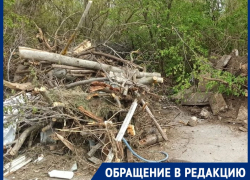 «Кто-то себе дачу вычистил, а другим загадил!»: садоводы возмущены отношением соседей