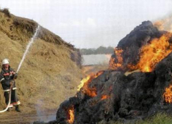 В Дубовском районе сгорело сено