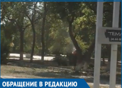 Спиливание деревьев напротив ТК «Сказка» вызвало массу вопросов у волгодонцев 