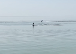 Лёд сошел, адреналин попер: на Цимлянском водохранилище открыли сезон мотосерферы