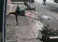 «Солевой» стрейнджер ночью подрался с деревом, разбил витрину музея и кричал неприличное о полиции