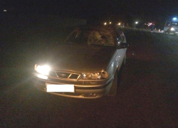 На трассе Ростов-Волгодонск «Нексия» сбила насмерть 32-летнего мужчину