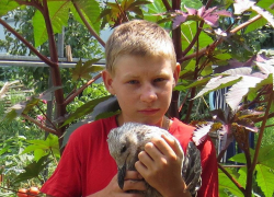 В Волгодонске пропал 13-летний Анатолий Климов