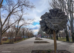 Холод и сплошная серость ожидают волгодонцев сегодня