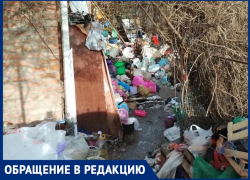 Волгодончанка с «Синдромом Плюшкина» завалила двор мусором и превратила в ад жизнь соседей