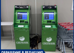 «Магнит» для бездомных собак: покупатели магазина на Энтузиастов, 50 возмущены засильем животных