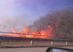 В Волгодонском районе горит сухостой, пожарные не могут подобраться к огню 