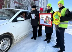 «Цена вопроса – жизнь»: в Волгодонске родителям напомнили о безопасности детей в автомобиле