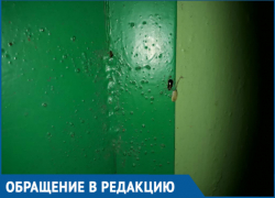 Подъезд дома №45 по проспекту Строителей стал похож на тараканью ферму, - волгодонцы
