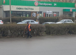 Дебоширы и хулиганы будут убирать мусор и сажать деревья в Волгодонске