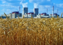 Ростовскую АЭС вновь признали экологически образцовой