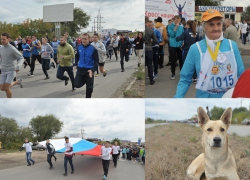 1999 волгодонцев и 80-летняя бабушка пробежали два километра по Малой Морской