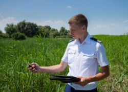 В Зимовниковском районе суд обязал арендатора убрать сорняки с 26 га сельхозземель
