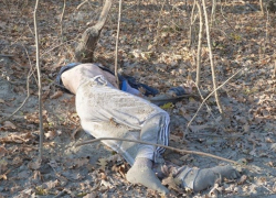 В Волгодонске в районе недостроенной набережной мертвый мужчина пролежал несколько дней