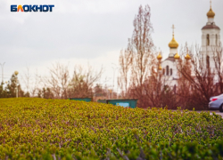 Легальный заработок для школьников предложили в администрации Волгодонска 