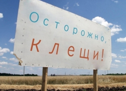 Трое мужчин с подозрением на геморрагическую лихорадку госпитализировали в Волгодонске