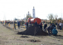 Сотни волгодонцев провели массовую посадку деревьев