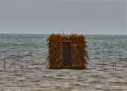 Странные шалаши и сторожевые башни на воде были обнаружены при понижении уровня Цимлянского водохранилища в Волгодонске