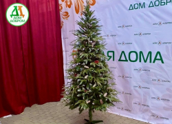 Товар дня: ель искусственная "Крымская"  за  9 950₽ вместо 11 940₽