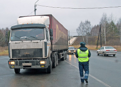 На автодороге Ростов-Волгодонск задержали два большегруза, перевозящие груз по сомнительным документам