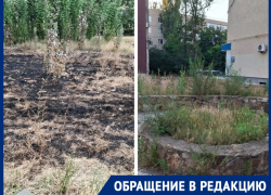 «Кто отвечает за этот сквер?»: жильцы ближайших домов утверждают, что за «Казаком» не убирают с прошлого года