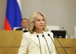 Священный долг перед будущим: женам и вдовам участников СВО могут дать право на бесплатное ЭКО