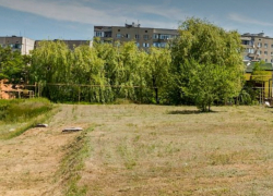 Власти передумали и ввели запрет на строительство нового ресторана около ТРЦ из-за зеленого куста